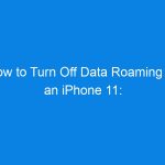How to Turn Off Data Roaming on an iPhone 11: Complete Step-by-Step Guide